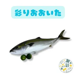 aa-00020